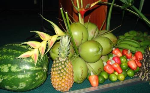Segundo IBGE, a produção de hortifrúti no Tocantins nas regiões de Palmas, Araguaína e Gurupi chega a 7.299 toneladas/ano Segundo IBGE, a produção de hortifrúti no Tocantins nas regiões de Palmas, Araguaína e Gurupi chega a 7.299 toneladas/ano
