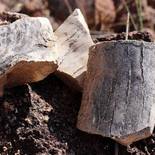 Vale dos Grandes Rios - Monaf - Carlos Magno_155x155.jpg