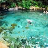 Serras Gerais - Rio Azuis_Thiago Sá_155x155.jpg