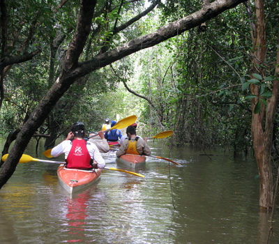 Trilha aquática de caiaque pelo Parque Estadual do Cantão