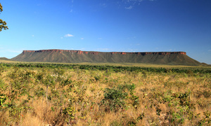 Projeto Cerrado-Jalapão visa conservar a biodiversidade da região do Jalapão