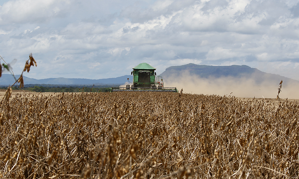 O Coletivo Balanço da Agricultura traz resultados positivos para