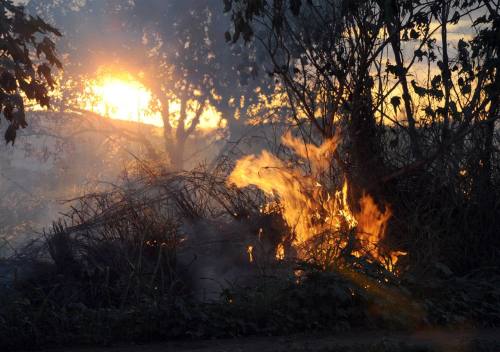 Número de focos de incêndio caiu para metade nos primeiros meses de 2013