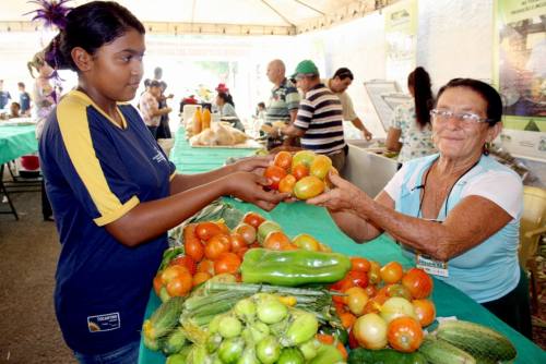 Feiras da agricultura familiar são realizadas em nove municípios do Estado 