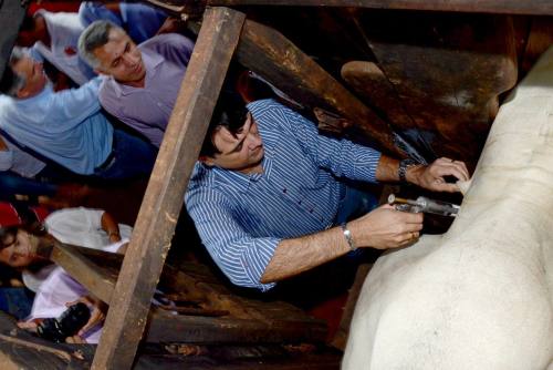 Presidente da Adapec, Marcelo Aguiar, no dia do lançamento da campanha contra a aftosa, em Carmolândia