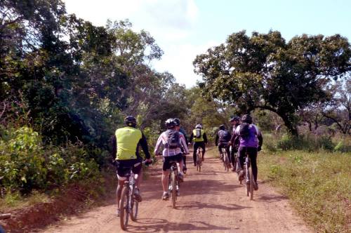 Pedalada ecológica mobiliza população durante Semana do Meio Ambiente