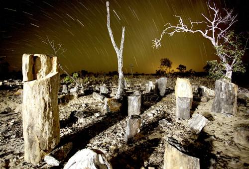O Tocantins possui uma das maiores florestas petrificadas do Brasil