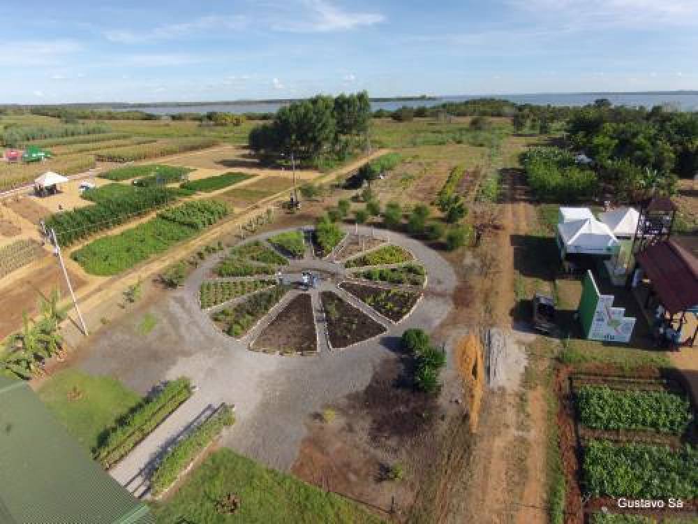 Campos Lindos Tocantins fonte: central3.to.gov.br