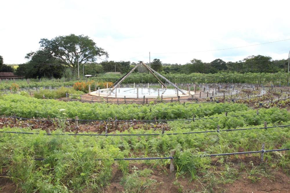 Projeto Qualidade na Mesa beneficia produtores rurais das 