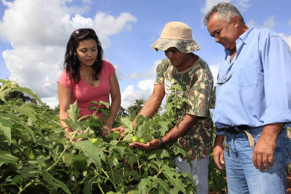 Extensionistas rurais - Agentes de mudanças no campo 