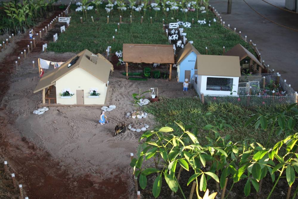 Modelo de propriedade rural agroecológica é sucesso na 