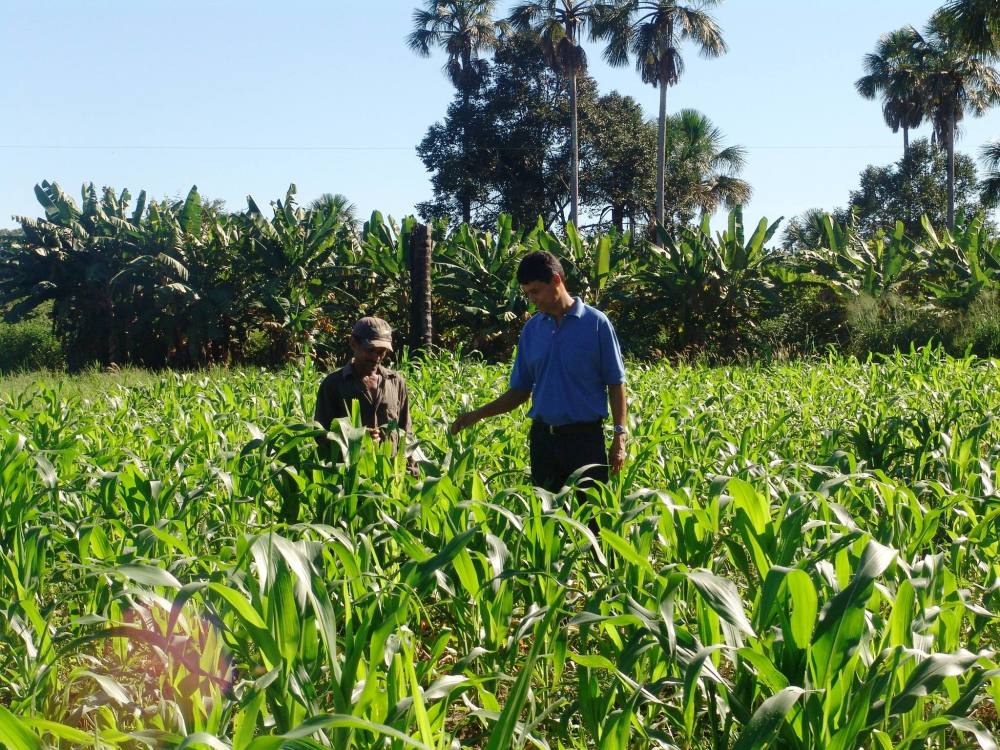 Extensionista rural agente de transformação - Notícias 