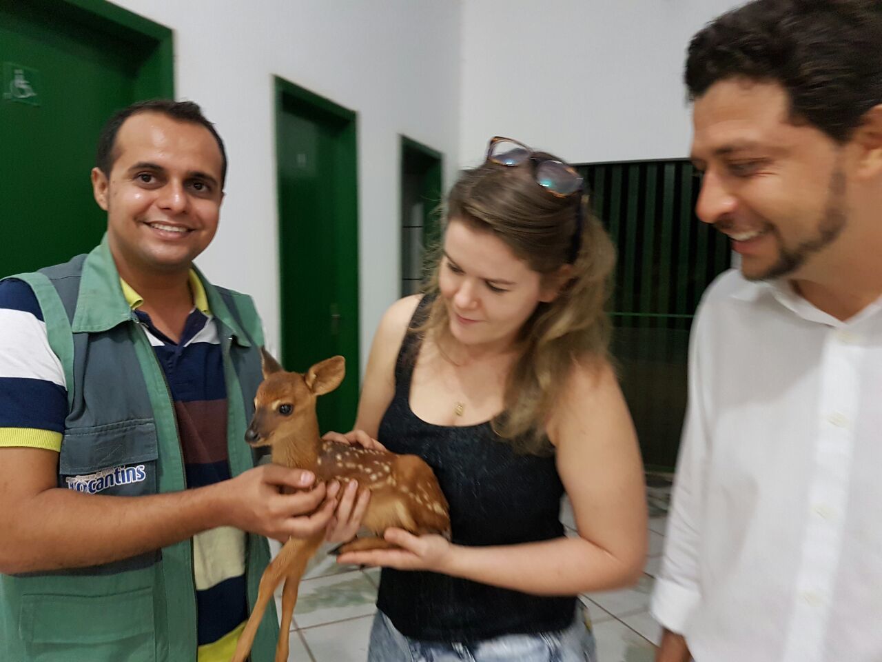 Naturatins de Arapoema resgata filhote de cervo salvo por moradores de Couto Magalhães