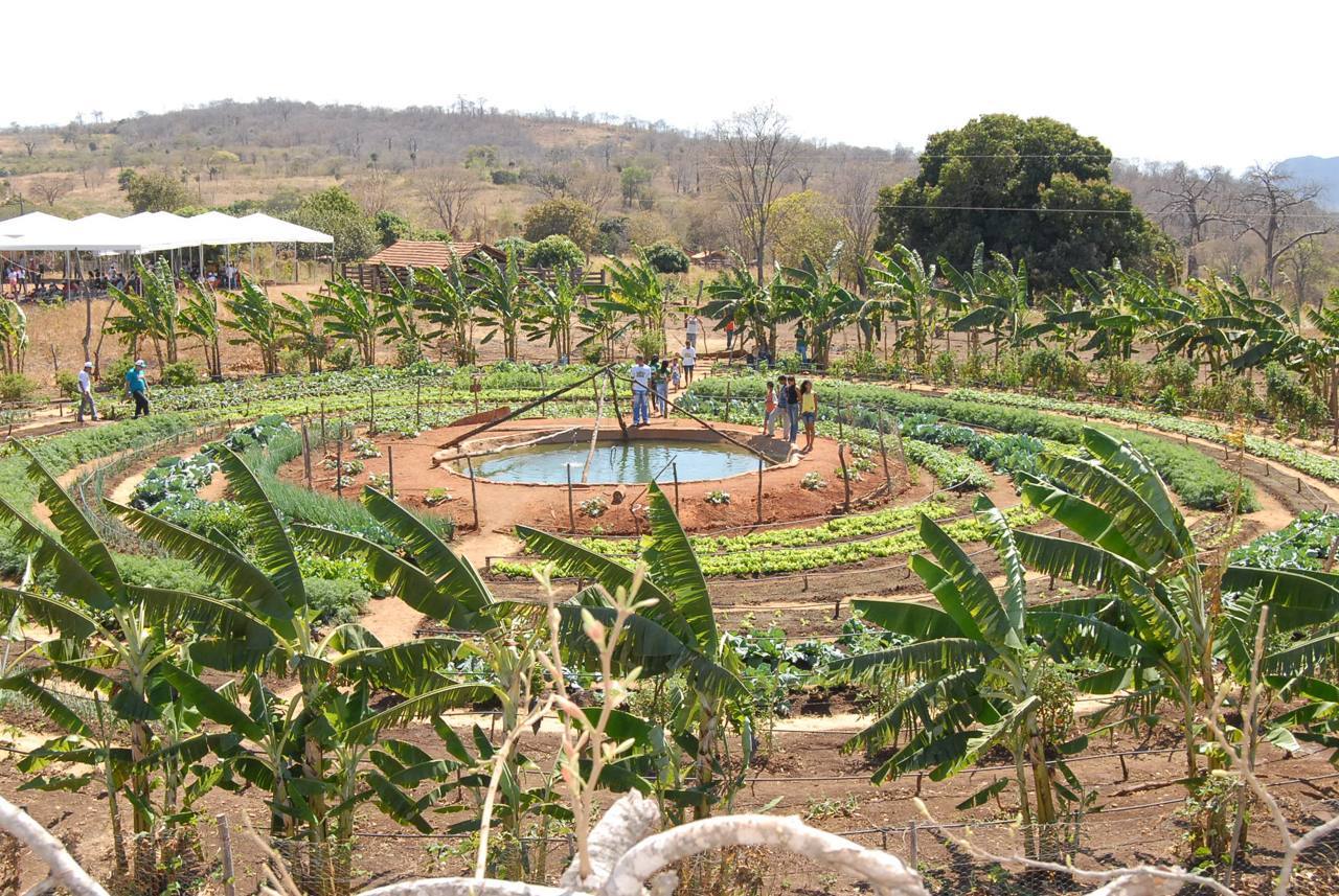 Comunidades Quilombolas Do Tocantins - LIBRAIN