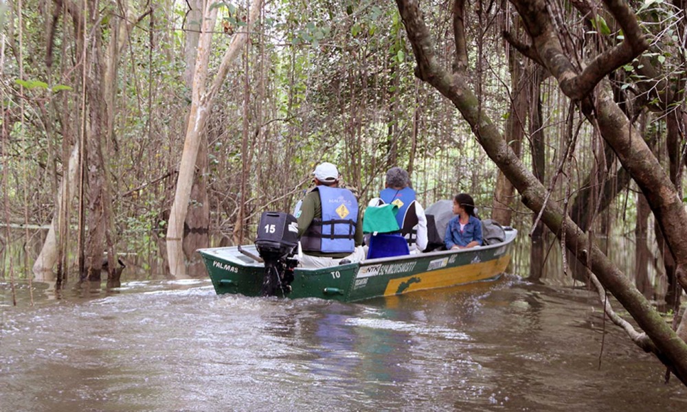 Paraiso Verde No Coracao Do Brasil Noticias Portal Tocantins