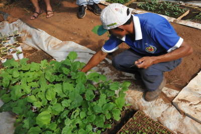 O agricultor familiar, Divino Borges, que desenvolve cultivos agroecológicos no assentamento Matinha, município de Guaraí