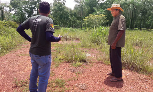 Ações itinerantes vão ocorrer na zona rural dos municípios de Goianorte, Colmeia, Pequizeiro, Rio dos Bois, Fortaleza do Tabocão e Guaraí