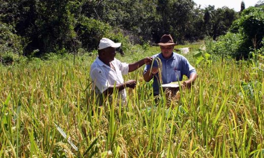 Mais de 150 produtores serão beneficiados pela assistência técnica e extensão rural do Ruraltins 