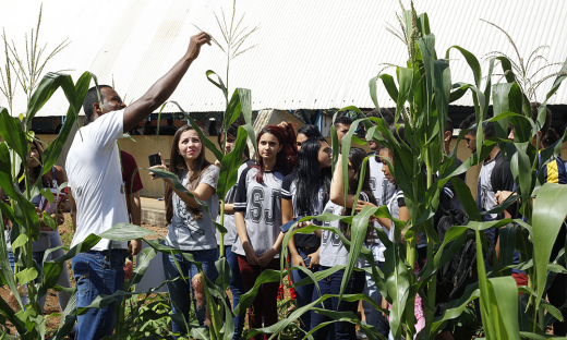 Prêmio Jovem Cientista é destinado a alunos que atuam em ações de conservação do meio ambiente 