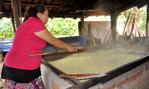 Processamento dos produtos oriundos da agropecuária promove geração de emprego e renda, bem como a fixação do homem no meio rural