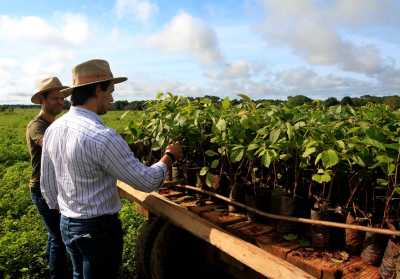 Projeto Campo Sustentável Secretário Leonardo Cintra e o proprietário da Fazenda Agropecuária, Marcos