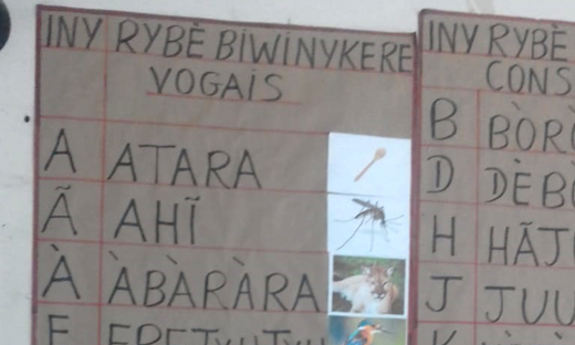 Exemplos de letramento na língua materna   