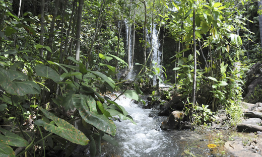  Tocantins é um dos principais estados do País em termos de potencialidade hídrica     