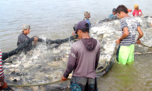 Projeto voltado para o desenvolvimento da pesca artesanal percorreu 14 municípios 