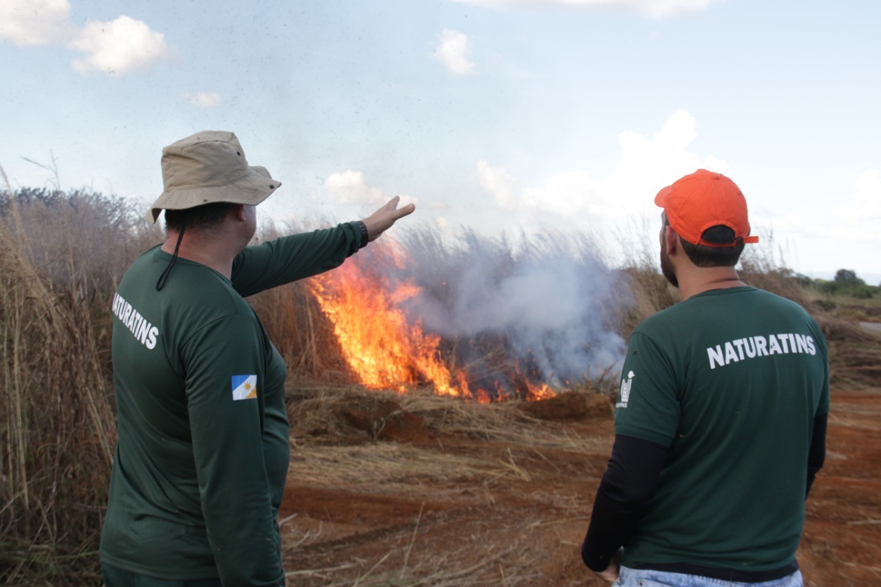 Naturatins inicia treinamento de queima controlada através do MIF