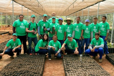 Apoio internacional: ONG, Semarh e Naturatins unidos para elaborar o projeto de reflorestamento Apoio internacional: ONG, Semarh e Naturatins unidos para elaborar o projeto de reflorestamento