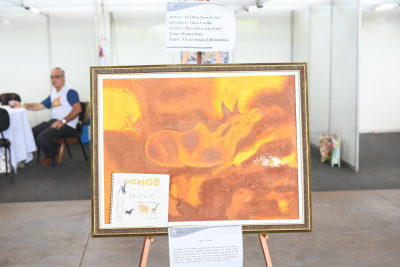 Obra vencedora de artes visuais, de autoria de Alcinei Sousa Lima Diversidade e criatividade marcaram as apresentações dos alunos das Apaes no Festival Estadual Nossa Arte