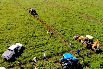 Projeto Campo Sustentável: Linhas abertas para plantio de 3 mil mudas nativas em janeiro de 2019 Projeto Campo Sustentável: Linhas abertas para plantio de 3 mil mudas nativas em janeiro de 2019