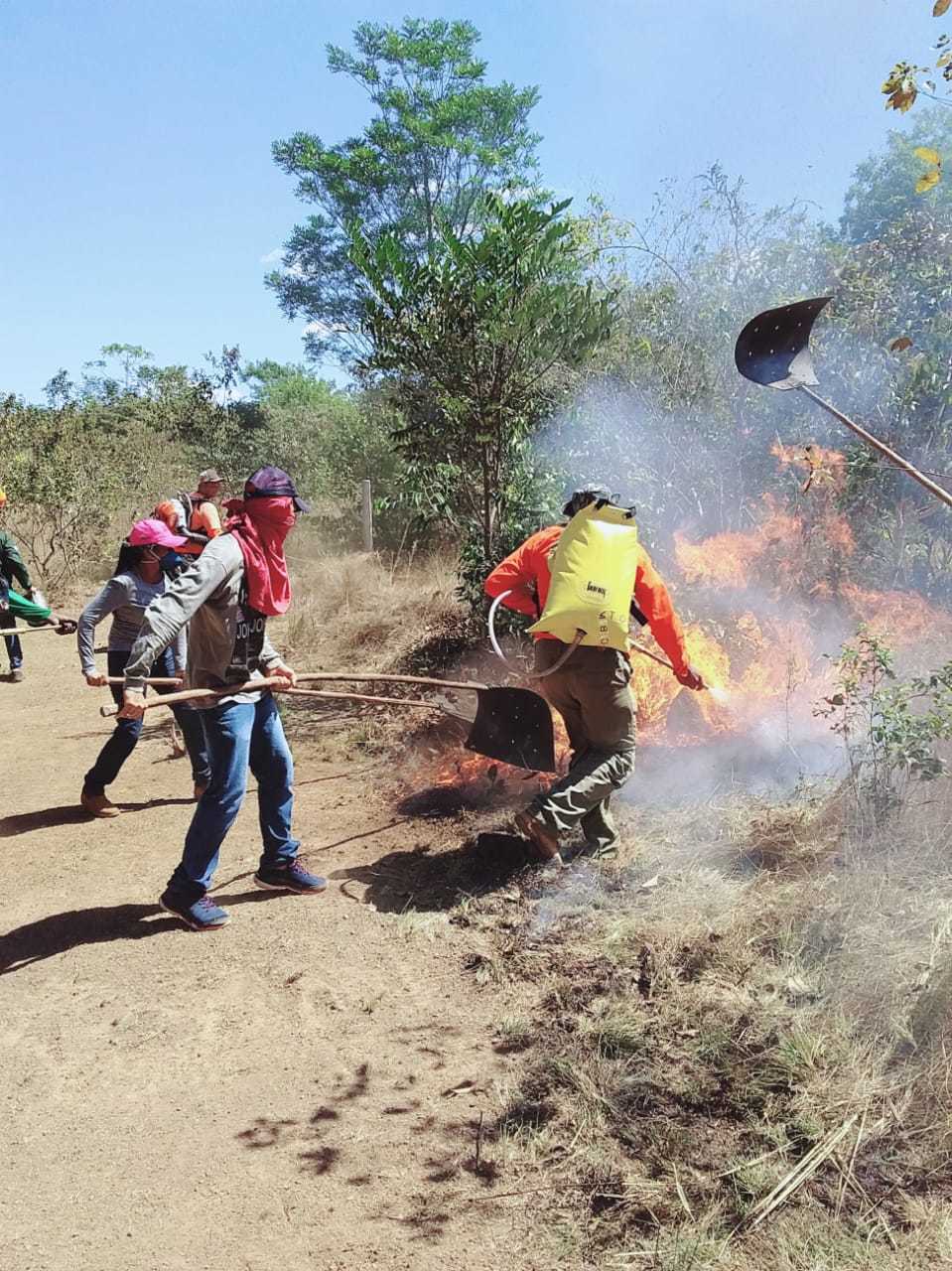   Brigadistas aprendem  técnicas de combate a incêndios