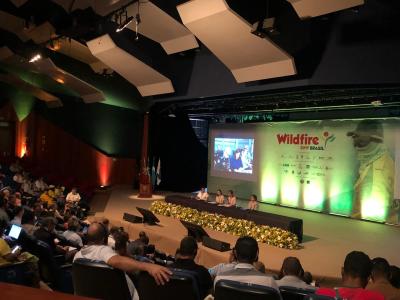 A 7° Conferência Internacional Sobre Incêndios Florestais-Wildfire Brasil segue até o próximo dia 01 de novembro
