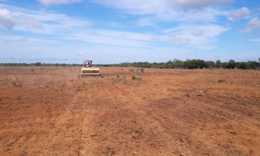 Terceira unidade de manejo do arroz consorciado ao capim forrageiro para formação e recuperação de pastagem foi implantada na fazenda Três Ipês, município de Peixe