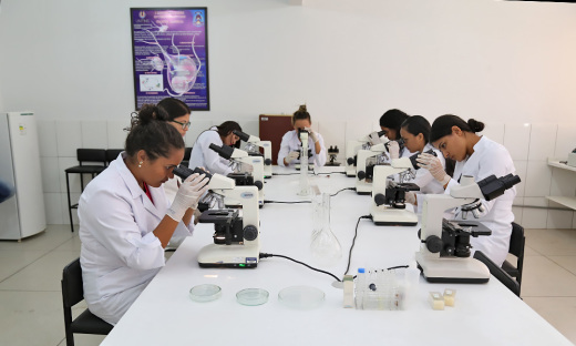 Pesquisadores do Tocantins têm a oportunidade de participar de editais de pesquisa científica custeada pelo Governo