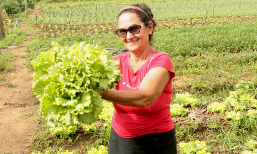 Produtora Creuza Felix Moreira, moradora da zona rural de Palmas, é exemplo da ocupação feminina no campo