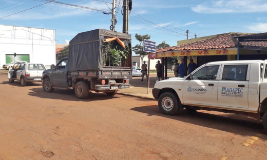 Carga é apreendida por venda ambulante e por colocar em risco o patrimônio fitossanitário do Estado 