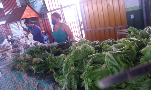 No Tocantins, estima-se que este auxílio poderá alcançar cerca de 50 mil agricultores familiares