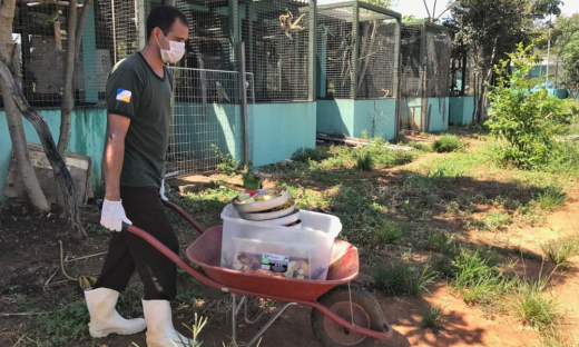 Deslocamento da alimentação diária dos animais silvestres no Cefau