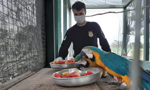 Uso de EPI já faz parte da rotina das equipes no manejo desses animais