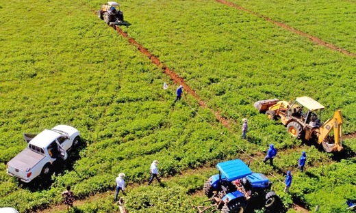A escolha das propriedades é feita com base em alguns critérios definidos em conjunto com os parceiros do Campo Sustentável