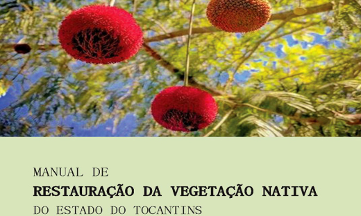 Cartilha orienta restauração da vegetação nativa no Tocantins
