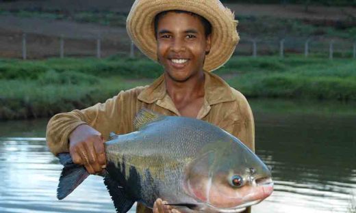 Naturatins mantém somente o atendimento remoto durante o período de distanciamento social