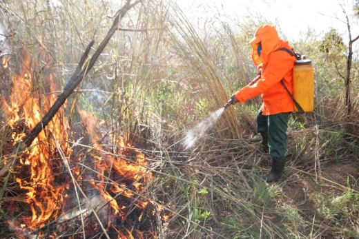 Portaria nº 84, suspende a emissão de novas autorizações e a vigência de autorizações já emitidas de queima controlada em todo o território tocantinense