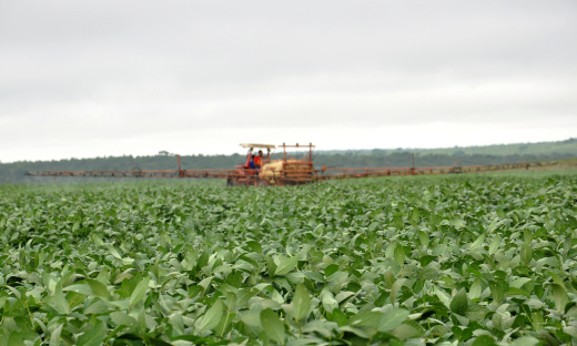 Estará proibido o uso e comércio do paraquat no Brasil a partir de 22 de setembro