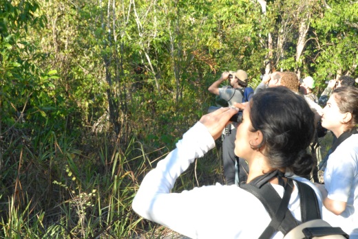 Observação de aves é um dos atrativos do CPC, no Parque do Cantão