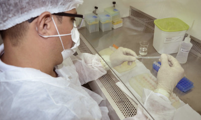 Com o investimento feito pelo Governo do Tocantins para a regularização dos insumos, nesta semana, o Lacen/TO retomou a sua capacidade de testagem, chegando a analisar 550 testes por dia Com o investimento feito pelo Governo do Tocantins para a regularização dos insumos, nesta semana, o Lacen/TO retomou a sua capacidade de testagem, chegando a analisar 550 testes por dia