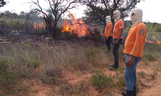 Manejo Integrado do Fogo minimiza os riscos de incêndios na APA Jalapão