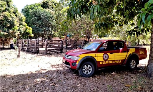 Ação do Corpo de Bombeiros Militar do Tocantins reforça importância da preservação do meio ambiente